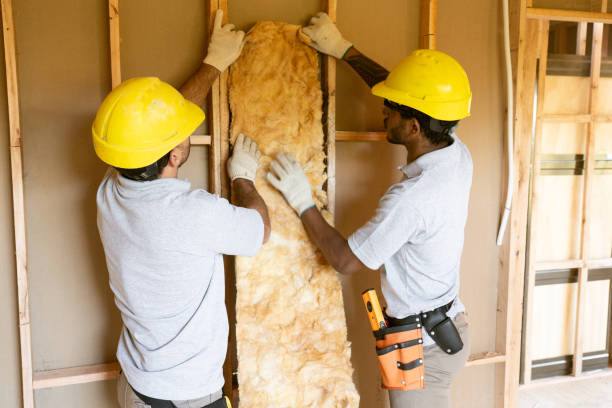 Trusted Buena Vista, CO Insulation Removal & Installation Experts